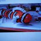 thumbnails/032-szigyarto_laszlone01.jpg.small.jpeg