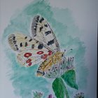 thumbnails/004-103680648_2646871192196063_2868879854706829584_n.jpg.small.jpeg
